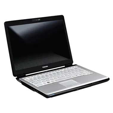 U300